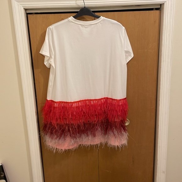 Queen of sparkles pink & red feather bottom dress - Picture 2 of 4